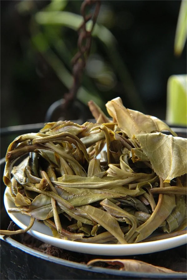 Gum Disease Treatment Cuts AFib Risk by 61% - New Study Reveals