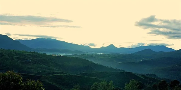 Hims & Hers Semaglutide: Affordable Weight Loss Solution Explained